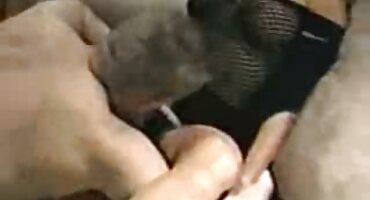 lily hart sex Kimm kim kim được fucked bởi một người lạ và bị phim set gai dep ướt với kiêm.